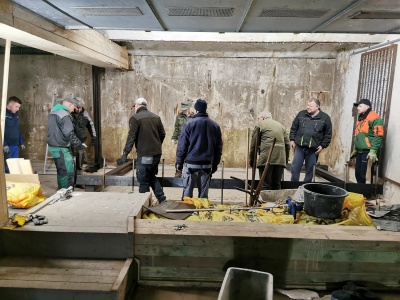 Baufortschritt 01.03.2025